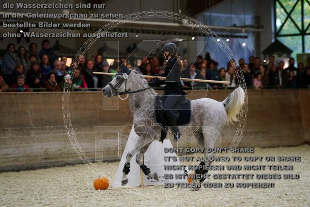 s_K3F03171.JPG